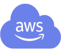 AWS Cloud